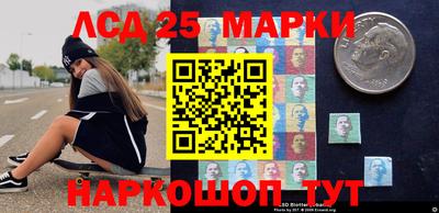 2c-b Камышлов